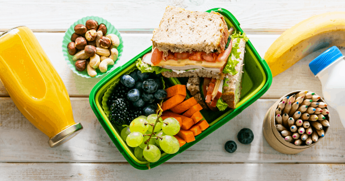 Ultimate Guide To The Best Bento Lunch Box, Australia 2023