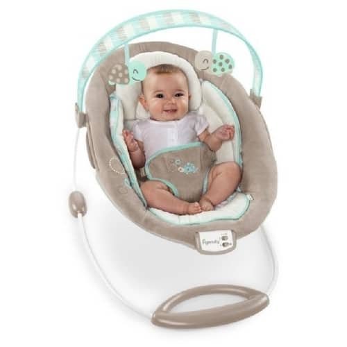baby bunting swing and bouncer